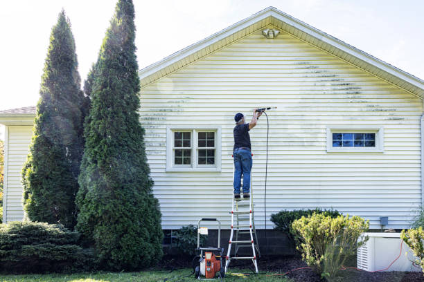 Trusted Morgantown, MS Pressure Washing Services Experts